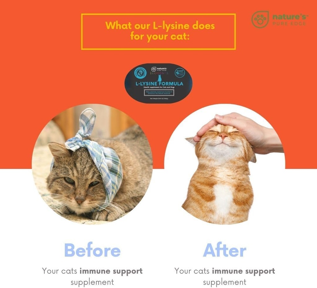 l-lysine-powder-for-cats-and-kittens-chi-3.jpg