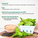 multivitamin-for-dogs-dental-powder-virt-5.jpg