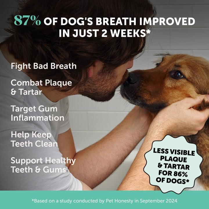 multivitamin-for-dogs-dental-powder-virt-3.jpg