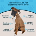 animal-essentials-slippery-elm-slippery--2.jpg