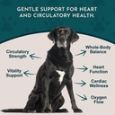 animal-essentials-hawthorn-berry-supplem-3.jpg