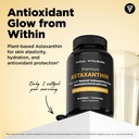 vital-vitamins-brain-booster-30-ct-astax-5.jpg