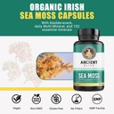 ancient-bliss-organic-irish-sea-moss-pil-2.jpg