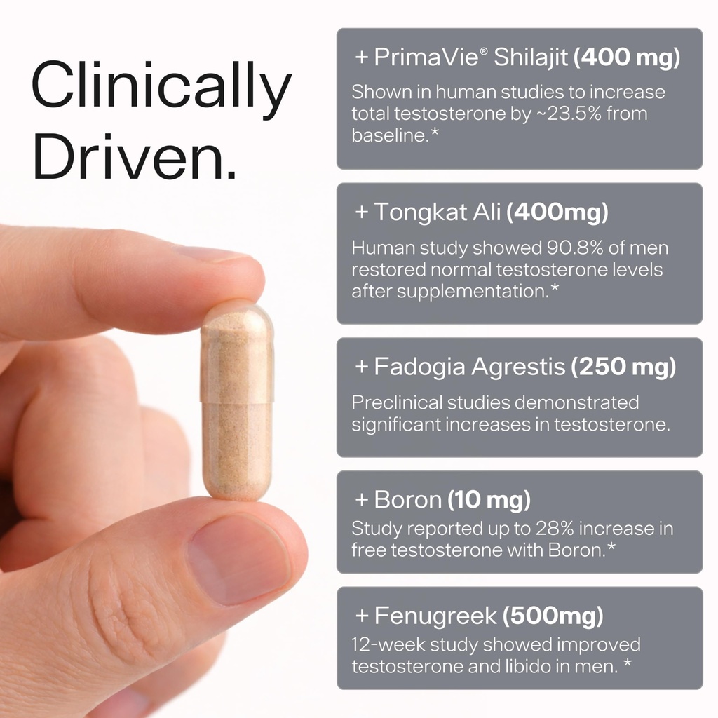 testosterone-booster-for-men-sheer-alpha-6.jpg