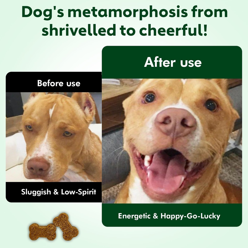 nmn-supplement-for-dogs-nad-booster-anti-4.jpg