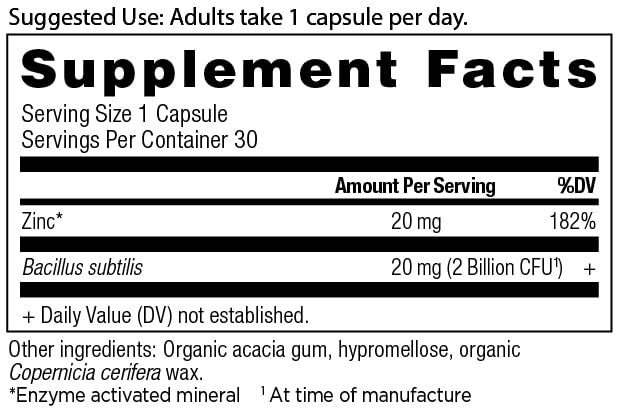 ancient-nutrition-probiotics-and-zinc-su-2.jpg