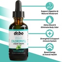 candi-cleanse-chlorophyll-liquid-drops-o-3.jpg