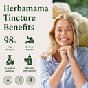 herbamama-lions-mane-mushroom-supplement-4.jpg