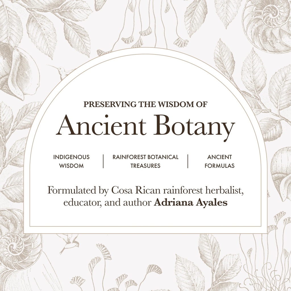 anima-mundi-apothecary-lions-mane-brain--4.jpg