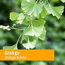 herb-pharm-certified-organic-ginkgo-liqu-5.jpg