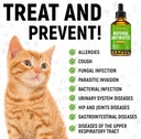 dog-antibiotics-with-chicken-flavor-сat--6.jpg