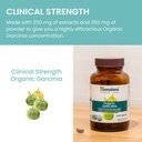 himalaya-organic-garcinia-cambogia-herba-6.jpg