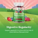 natures-craft-high-prebiotic-fiber-gummi-4.jpg