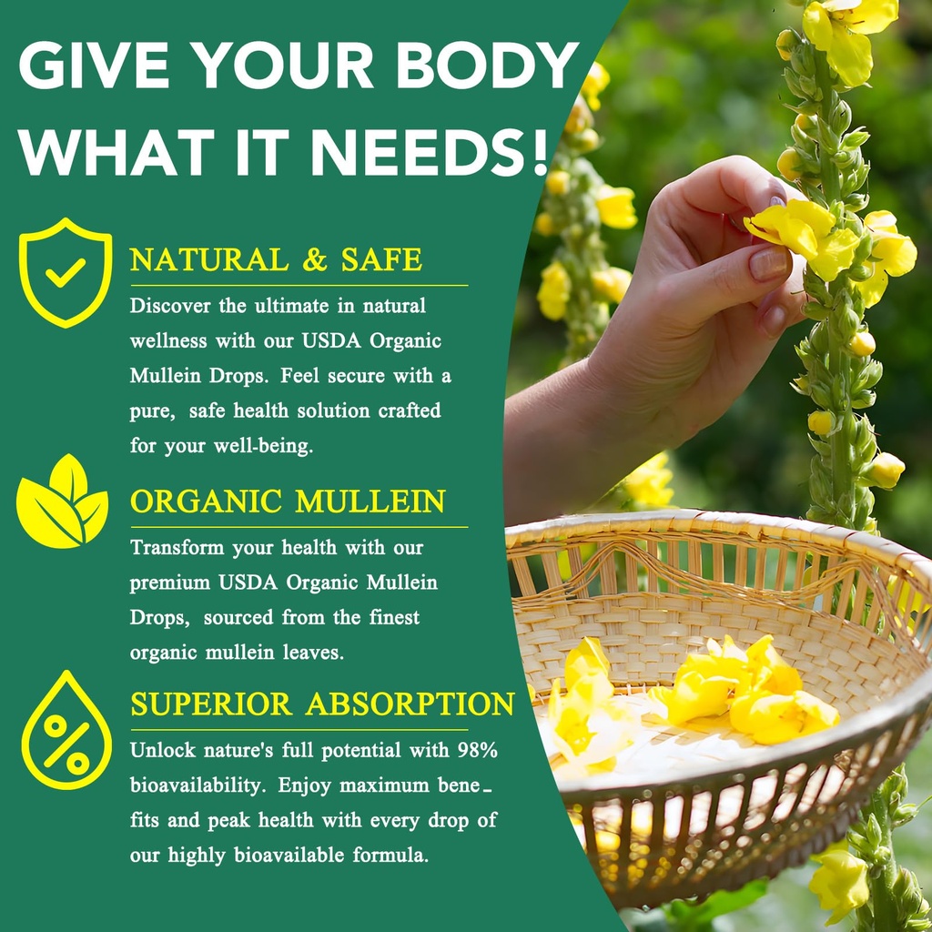 mullein-drops-for-lungs-2-fl-oz-mullein--6.jpg