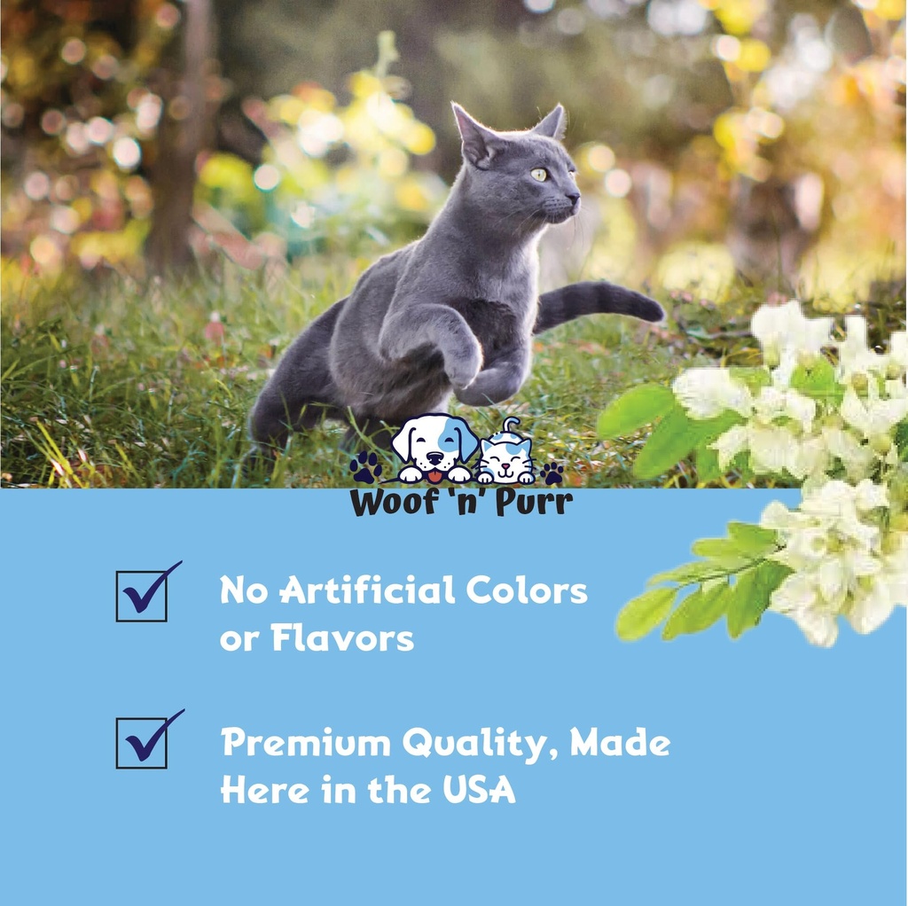 cat-multivitamin-promotes-healthy-skin-c-4.jpg