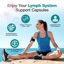 lymphatic-drainage-supplements-lymphatic-2.jpg