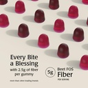 prebiotic-fiber-gummies-for-adults-kids--3.jpg
