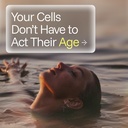 prohealth-longevity-bulk-trans-resveratr-2.jpg
