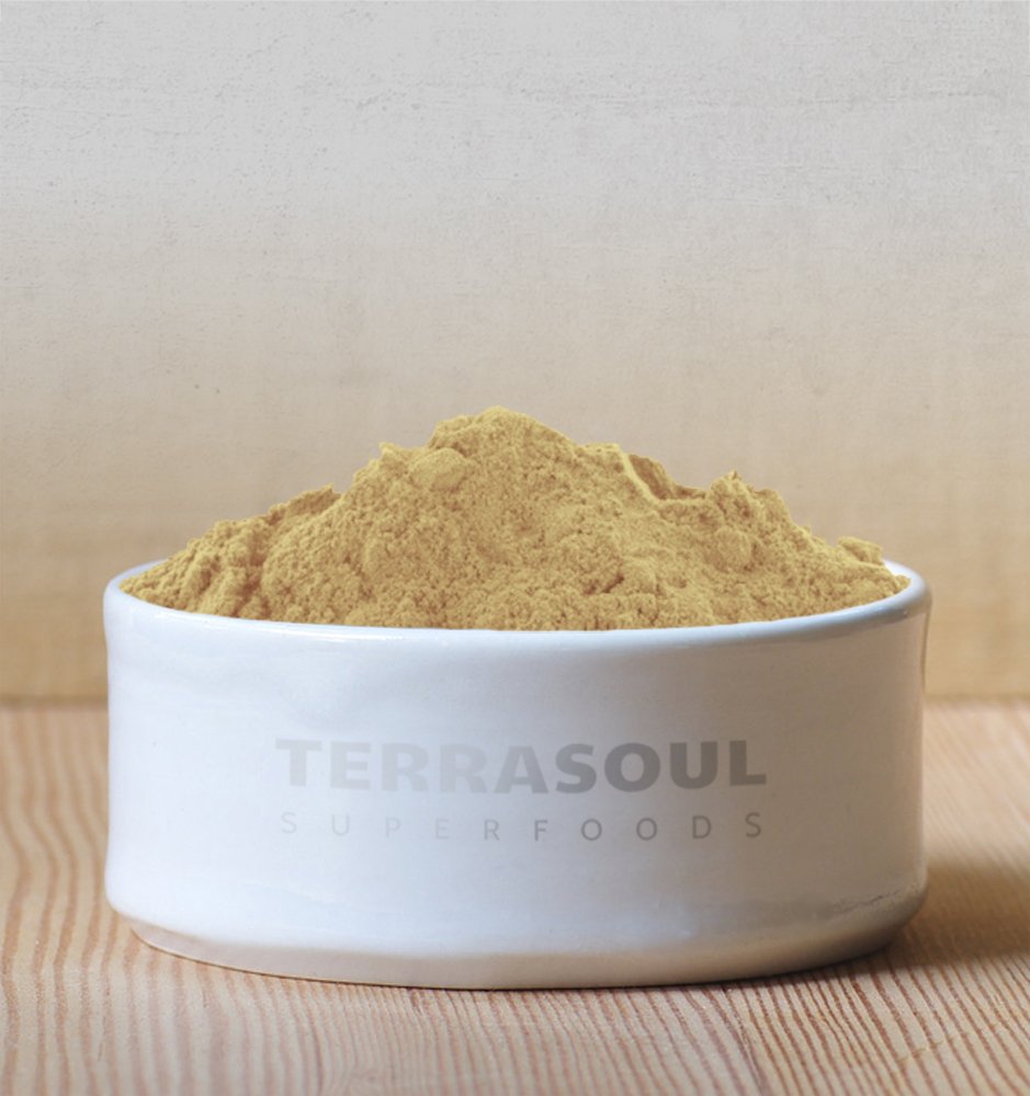 terrasoul-superfoods-organic-amla-berry--3.jpg