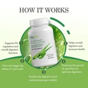 aloecure-organic-aloe-vera-digestion-pac-4.jpg