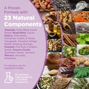 strength-spices-memory-booster-and-focus-5.jpg