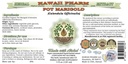 pot-marigold-alcohol-free-liquid-extract-2.jpg