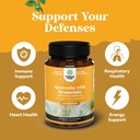bundle-of-water-away-herbal-diuretic-pil-5.jpg