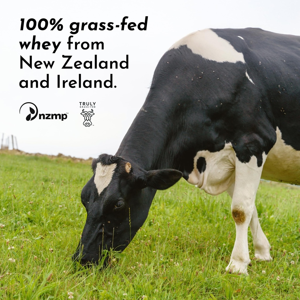 just-ingredients-vanilla-protein-powder--4.jpg