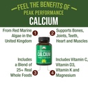plant-based-calcium-red-marine-algae-cal-2.jpg