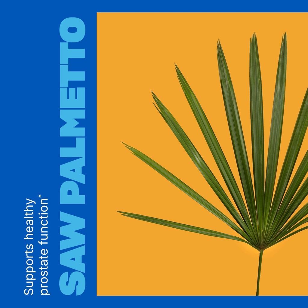 swisse-saw-palmetto-prostate-supplement--4.jpg