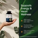 naturebell-benfotiamine-with-thiamine-24-4.jpg