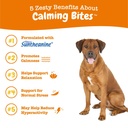 zesty-paws-calming-chews-for-dogs-10-in--2.jpg