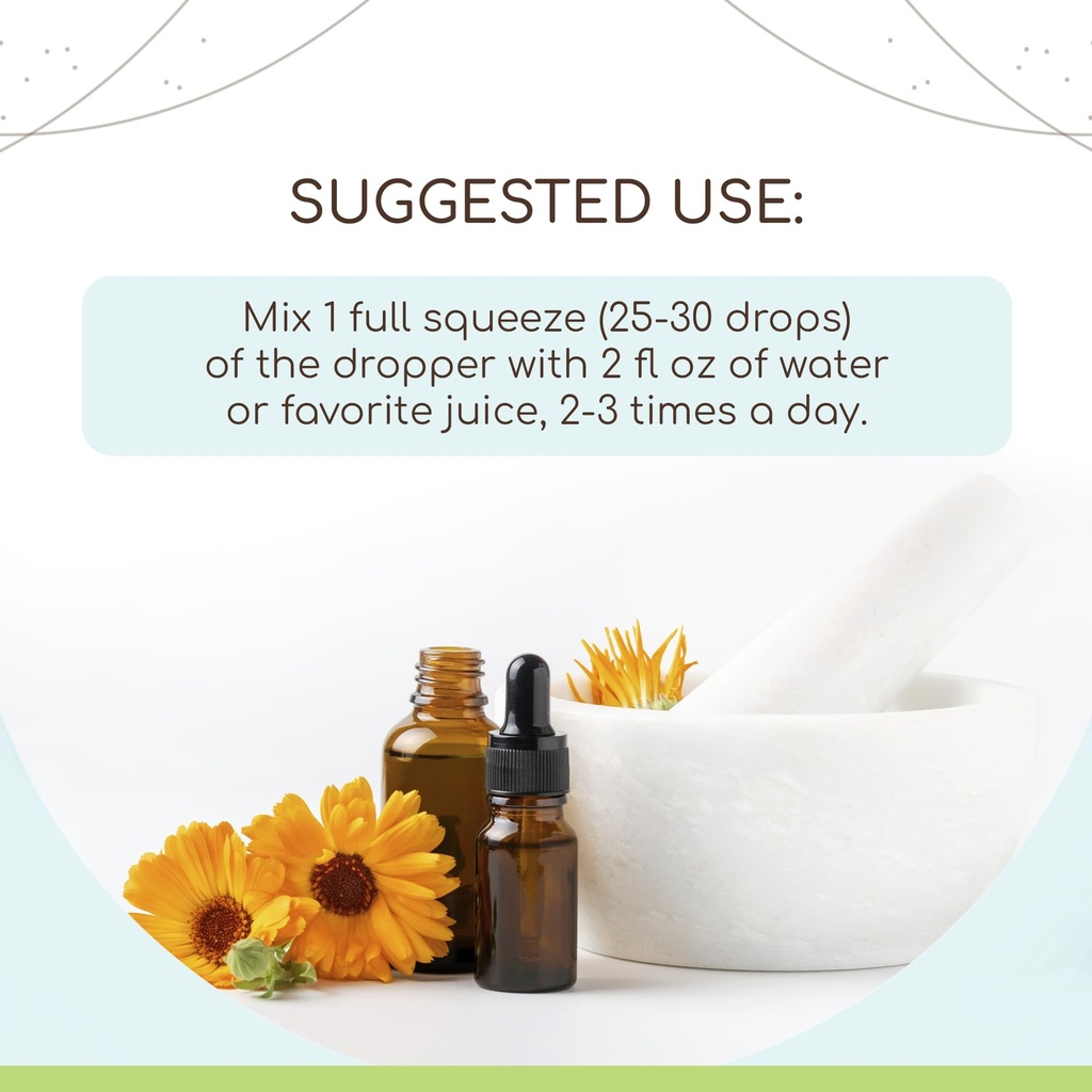 herbera-echinacea-angustifolia-b120-alco-2.jpg