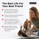 nutri-vet-multi-vite-chewables-for-adult-4.jpg