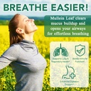 mullein-gummies-for-lungs-detox-2-pack-m-3.jpg