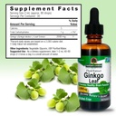 nature-s-answer-alcohol-free-ginko-leaf--3.jpg