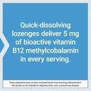 life-extension-vitamin-b12-methylcobalam-6.jpg