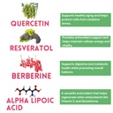 all-in-one-nac-supplement-n-acetyl-cyste-5.jpg