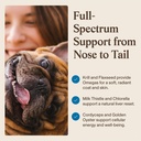 real-mushrooms-whole-dog-health-function-5.jpg