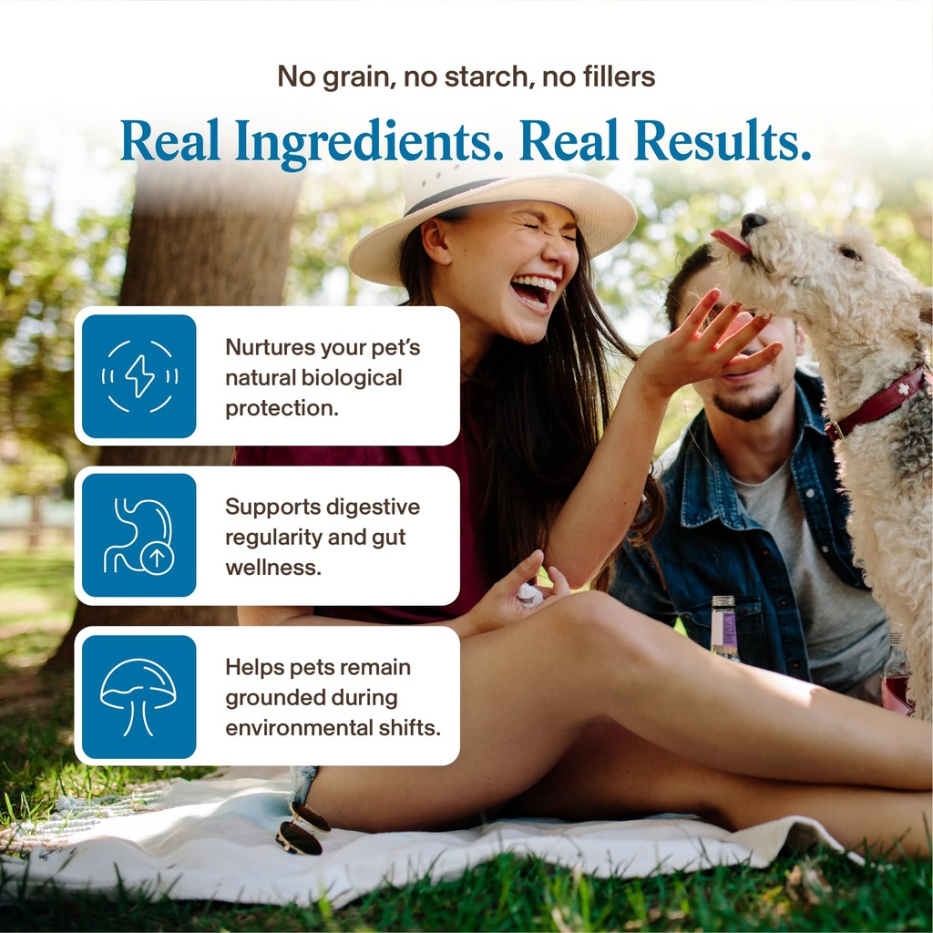 real-mushrooms-whole-dog-health-function-4.jpg