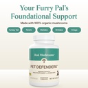 real-mushrooms-pet-defenders-dog-immune--2.jpg