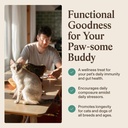real-mushrooms-pet-defenders-dog-immune--4.jpg