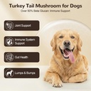 organic-turkey-tail-mushroom-for-large-d-2.jpg