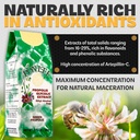 ponlee-brazil-green-bee-propolis-liquid--3.jpg