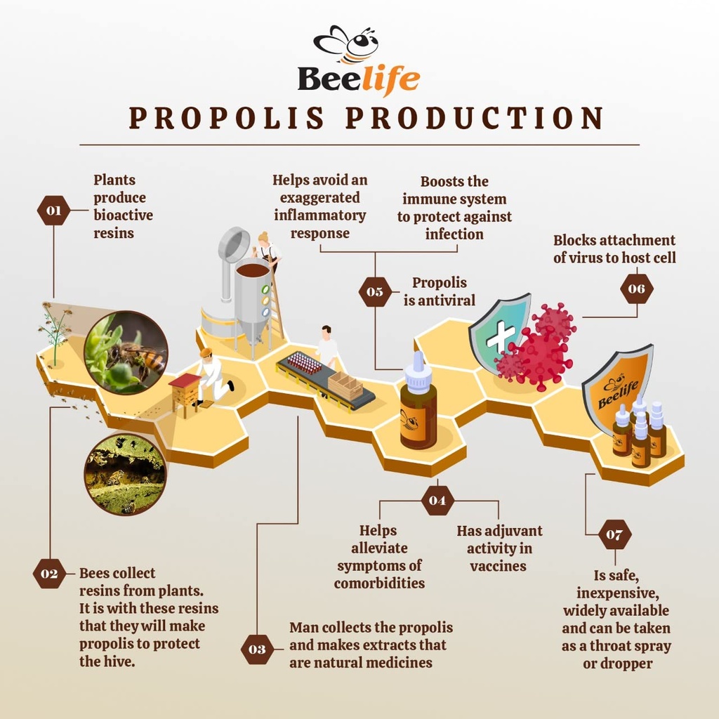 beelife-propoflex-organic-green-propolis-5.jpg