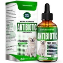 Antibióticos naturales para perros y cachorros ← Antibióticos para perros de todas las edades