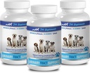 Suplementos de incontinencia urinaria de perros - Apoyo a la Tract de orina de perros - Solución de arándano natural - Salud de la vejiga - Jugo de arándano recomendado para perros - 3 botellas (270 Tratados)