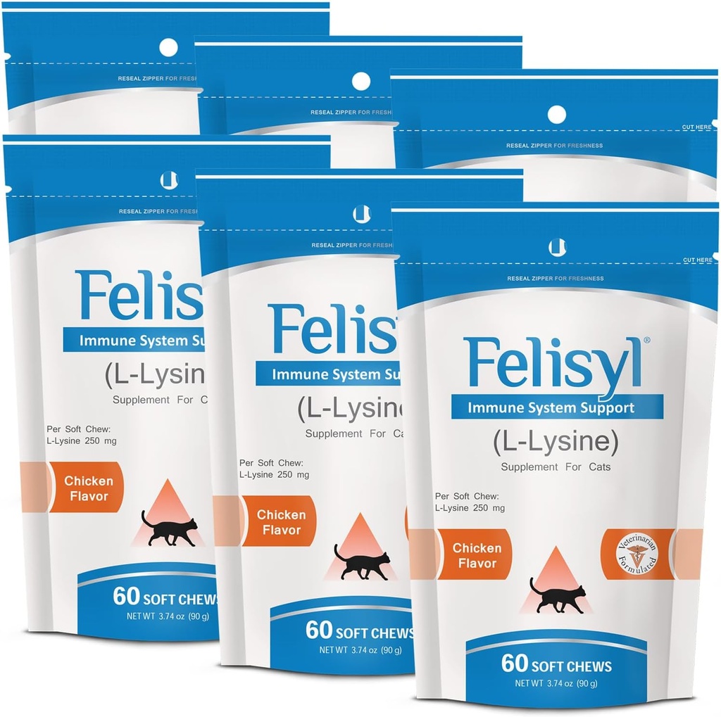 L-Lysine Soft Chews for Cats (60 Soft Chews) – Supports Immune, Respiratory, and Eye Health. Eases Sneezing, Runny Nose, and Watery Eyes. Salmon Flavor - (6 Pack)