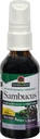 Nature's Answer Sambucus Syrup Extract Spray 2 Fluid Ounces | Immune Booster on the Go | Travel Friendly | Rich in Antioxidants | Natural Immune Support