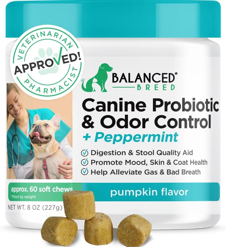Balanced Breed Dog Probiotics Digestive Health Enzymes Made in USA Vet-Pharmacist Approved Fortiflora Probiotics Dogs Anti Yeast Supplements Constipation Relief Dog Yeast Itchy Skin Itchy Ears Non-GMO